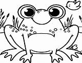 Frog Frogs Secretariat sketch template