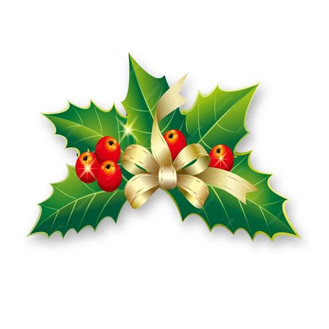 premium vector christmas holly  berries