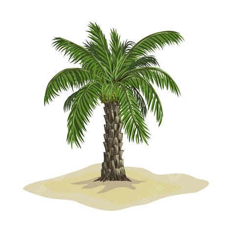 date palm tree vector art png date palm tree  desert date palm
