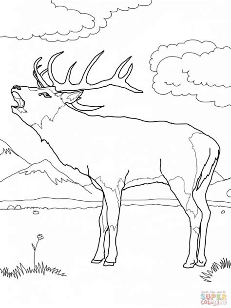 elk coloring pages  getdrawings