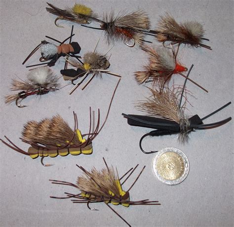 cast fly fishing fly fishing patagonia argentina favorite