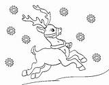 Reindeer Coloring Christmas Coloringcrew sketch template