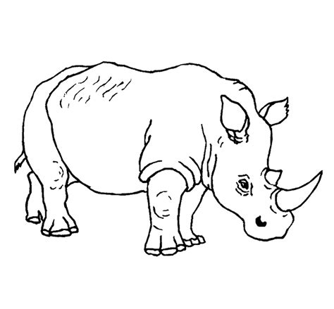 printable rhinoceros coloring pages  kids