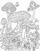 Mushrooms Trippy Colouring Psychedelic Pilze Malvorlagen Stoner Herbst Marlar Ceciley Forest Ausmalbilder Adultcoloringpages Kostenlose Erwachsenen sketch template