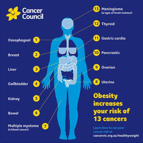 types  cancer  human body cancerwalls