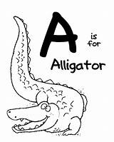 Coloring Letter Alligator Pages Animal Alphabet Zoo Printable Sheets Letters Color Preschool Animals Abc Activities Inspirations Little Moms Being Week sketch template