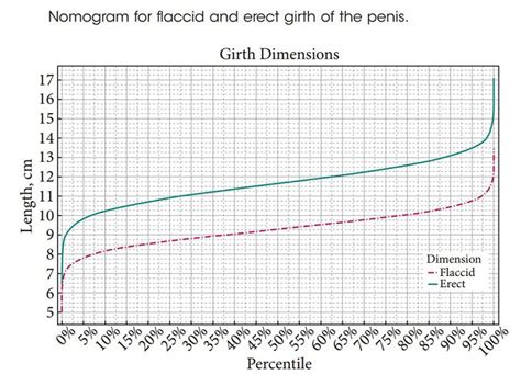 scientists measured 15 000 penises and determined the average size
