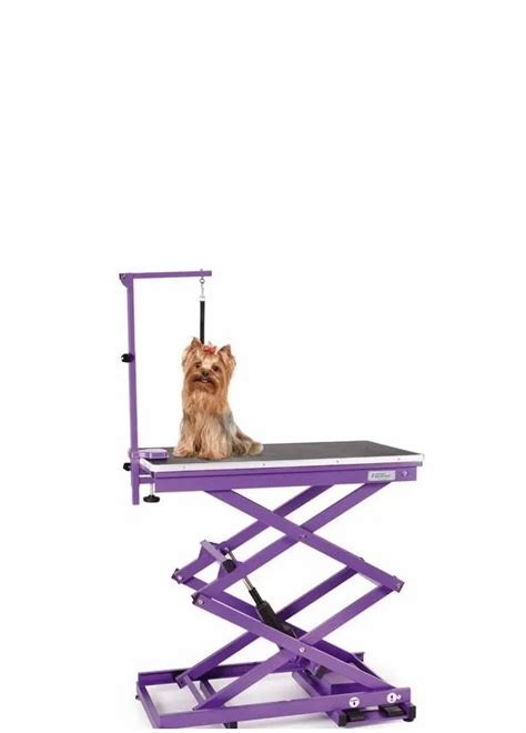 Electrical Mild Steel Scissoring Table For Veterinary Capacity 80kg