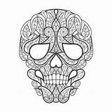 Skull Skulls Calaveras Outlaw Skeleton Half Vectores sketch template