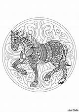 Mandala Coloring Horse Pages Mandalas Difficult Animals Color Cheval Adults Beautiful Patterns Animal Print Adult Interlaced Complex Elegant Background Justcolor sketch template