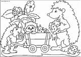 Hedgehog Colorare Riccio Bambini Disegni Ricci Istrice Arici Colorat Piccoli Scoiattolo Bosco Frutti Mangia Planse sketch template