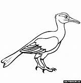 Longipteryx Microraptor Prehistoric Birds Thecolor sketch template