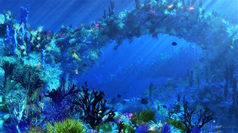 [46 ] underwater ocean wallpaper on wallpapersafari