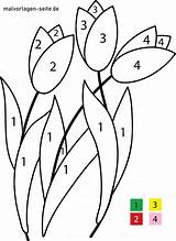 Zahlen Blumen Malvorlagen Vorschule Ausdrucken Vorlage Ausmalbilder Tulpen Kindern Kleinkinder Großformat Grafik sketch template