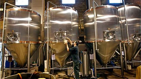 witty    berr lovers  explore  facilities  brewery