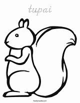 Squirrel Coloring Squirrels Preschool Gather Nuts Crafts Activities Twistynoodle Pages Tupai Kids Fall Autumn Funny Toddler Noodle Board Printable Drawing sketch template