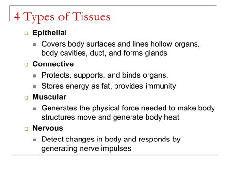 types  tissues