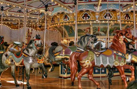 carousels  common  amusement parks information blog
