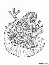 Frog Mandala Masala Tiere Peace sketch template