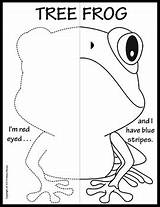 Amphibians Reptiles Symmetry sketch template