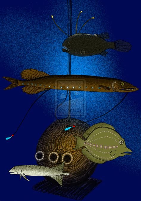 categorybeebes abyssal fishes  cryptozoology wiki fandom powered  wikia