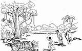 Sundarbans sketch template