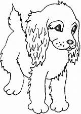 Coloring Cocker Spaniel Dogs Pages Children Dog American Simple Kids sketch template