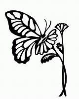 Butterfly Outline Drawing Outlines Flower Flowers Clipart Drawings Clip Coloring Cliparts Butterflies Svg Pages Animals Silhouette Tattoo  Color Library sketch template