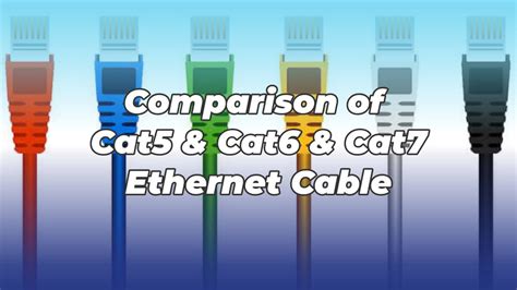 comparison  cat cat  cat ethernet cable otscable