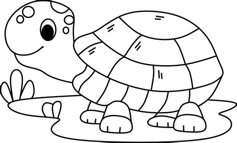 tortoise outline vector art icons  graphics
