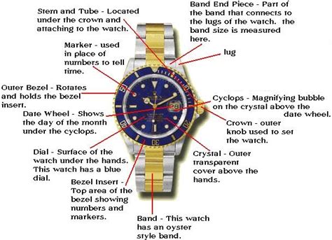 automatic watches  detailed list   values examined living