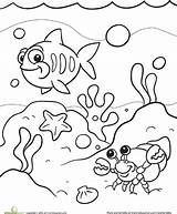 Coloring Sea Under Pages Ocean Color Preschool Kids Colouring Drawing Life Clipart Sheets Fish Printable Animal Disney Books Worksheets Getdrawings sketch template