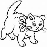 Funny Cat Coloring Pages Printable Getcolorings Kids sketch template
