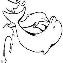 cute baby dolphin coloring pages  printable coloring pages