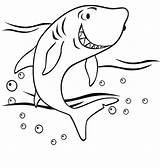 Coloring Shark Baby Pages Print sketch template