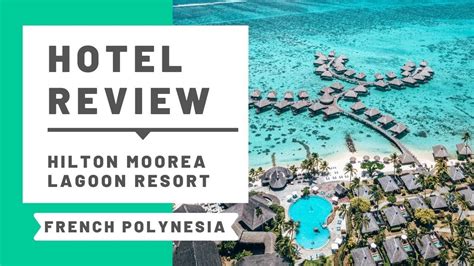 hilton moorea lagoon resort spa hotel review  room  youtube