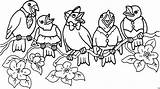 Vogel Uccelli Ausmalbild Kleurplaten Oiseau Vogelhochzeit Malvorlage Coloriages Voegel Burung Mewarnai Animasi Bergerak Animaatjes Singender Coloratutto sketch template