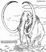 Mammoth Realistic Mamoth Wooly Coloringbay Popular sketch template