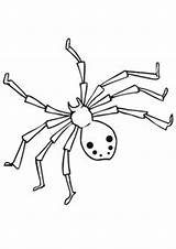 Spider Cute Cartoon Coloring Pages Colouring Coloringkidz Animals Kids sketch template