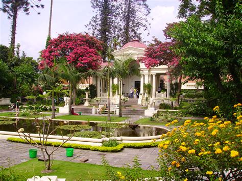 gardern  dreams queequegtravels