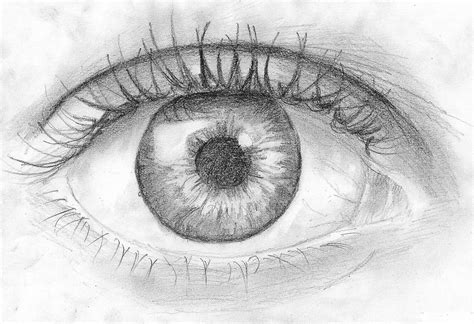 draw   draw  eye  pencil