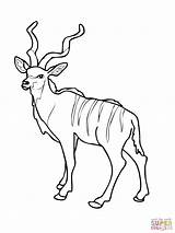 Antelope Kudu Pronghorn Designlooter Impala sketch template