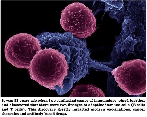 friday facts immunology style science   city