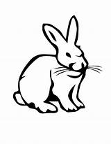 Hare Colorat Iepure Planse Desene Iepuri Animale Hares Domestice Iepurasi Designlooter Iepurele sketch template