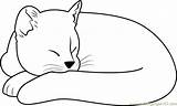 Cat Sleeping Coloring Ginger Pages Coloringpages101 Kids Cats Color Printable Colors sketch template