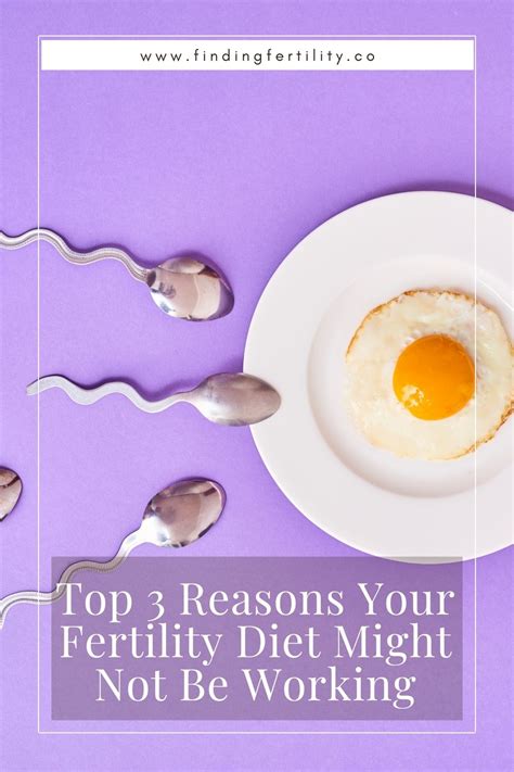 top 3 reasons your fertility diet might not be working