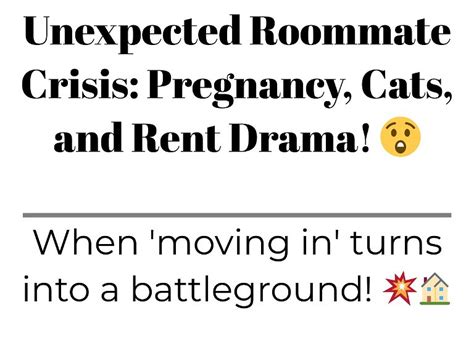 Unexpected Roommate Crisis Pregnancy Cats And Rent Drama