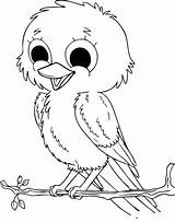 Nightingale Coloring Bird Cartoon Getdrawings Pages sketch template