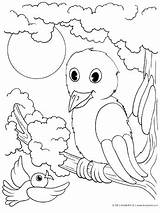 Coloring Bird Tree Birds Pages Kinderart Animals Baby Print Colouring Drawing Kids Color Printable Pdf Size Getdrawings Choose Board sketch template