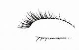 Eyelashes Lashes Eyelash sketch template